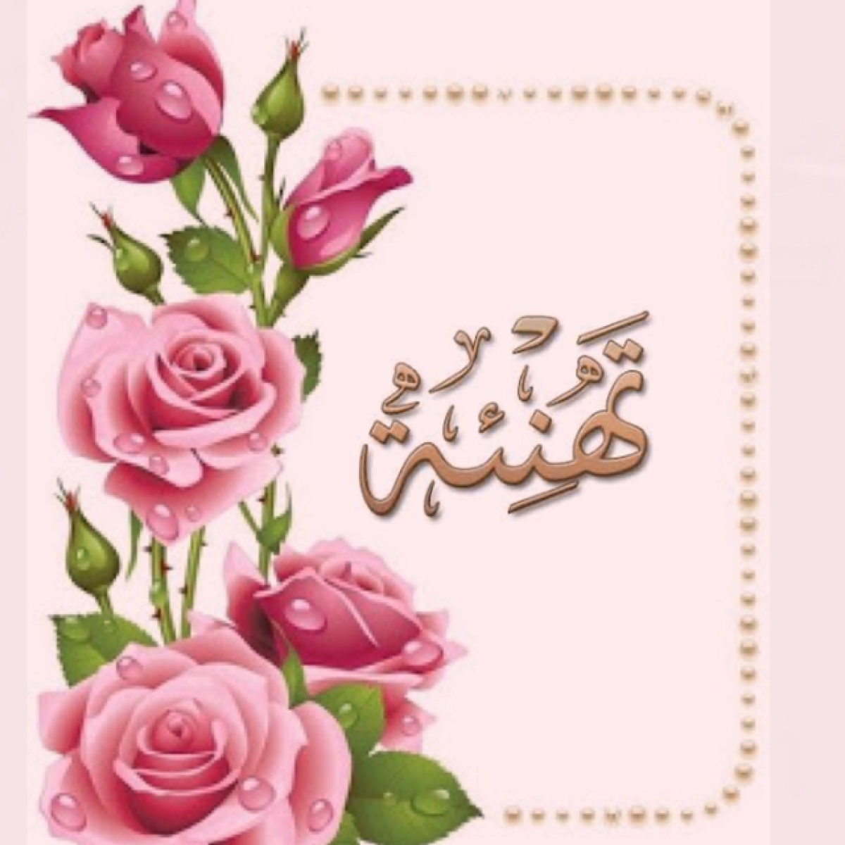 طالبات الإعلام التربوي يتألقن في مسابقة المراسل التليفزيوني بجامعة بنها